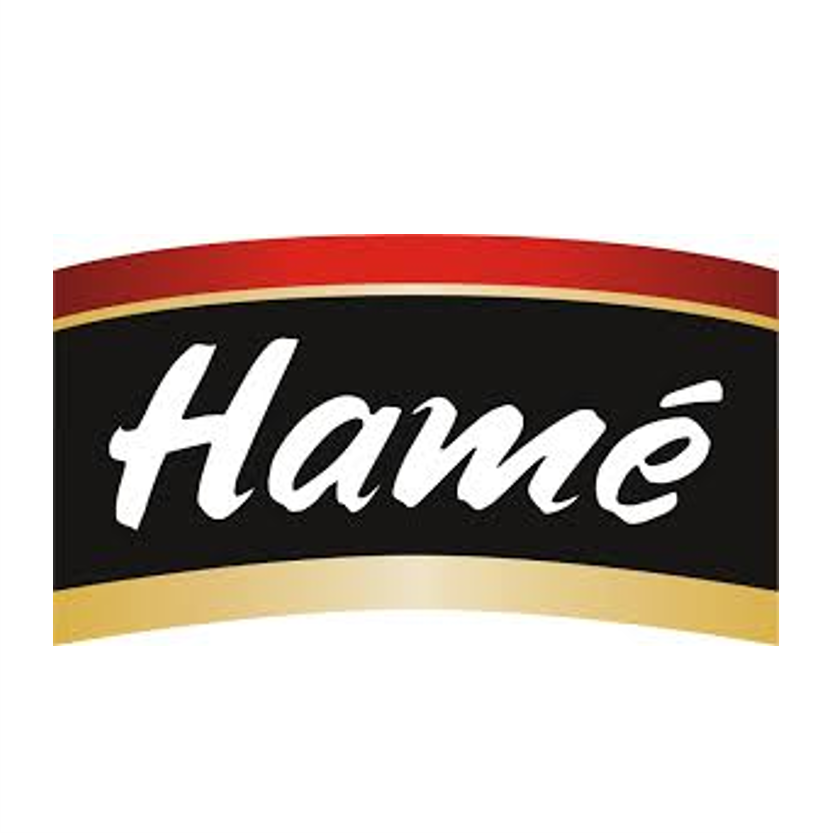 hame logo
